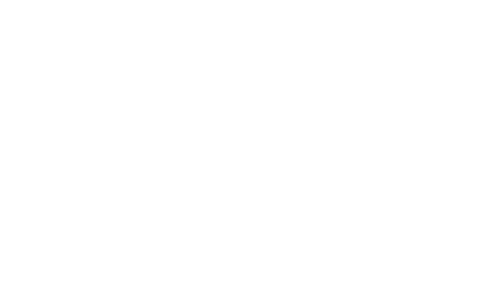 Brigitte Logo